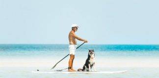 Bluefin Stand up paddle board Review