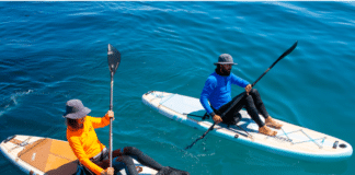 Paddleboard Gonflable Sport Expert Canada