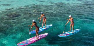 Which Starboard Paddle Board Is Best For Your Paddling