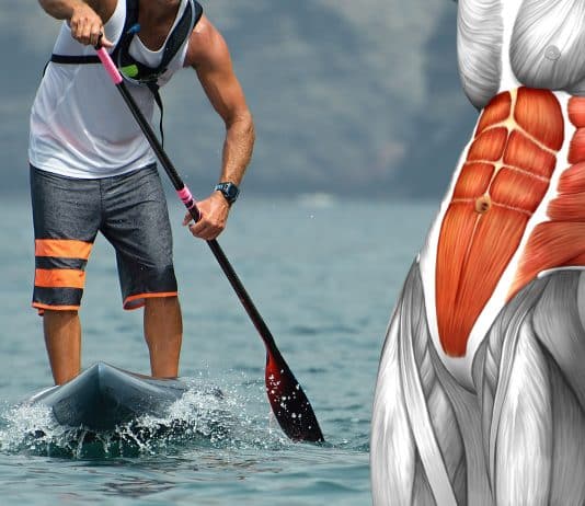 What Muscles Does SUP Paddling Work Out