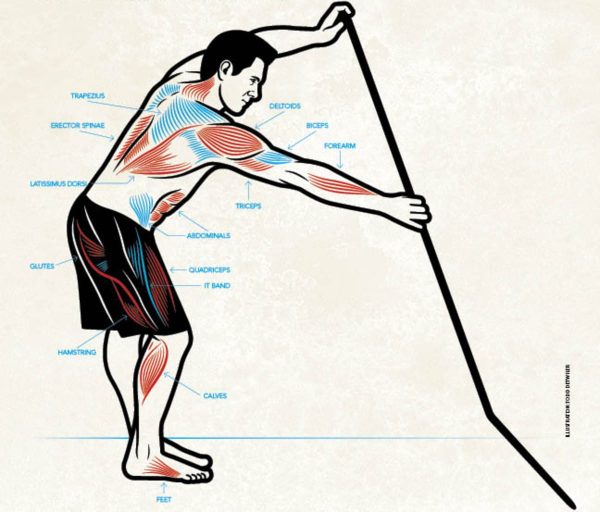 What Muscles Does SUP Fitness Work Out?